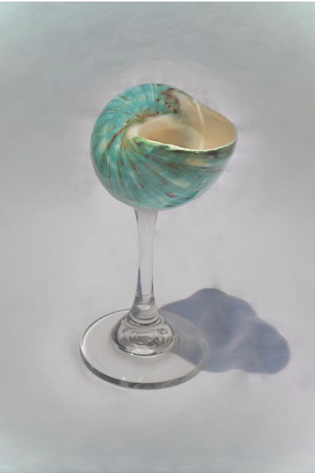 Aqua Green Seashell Glass