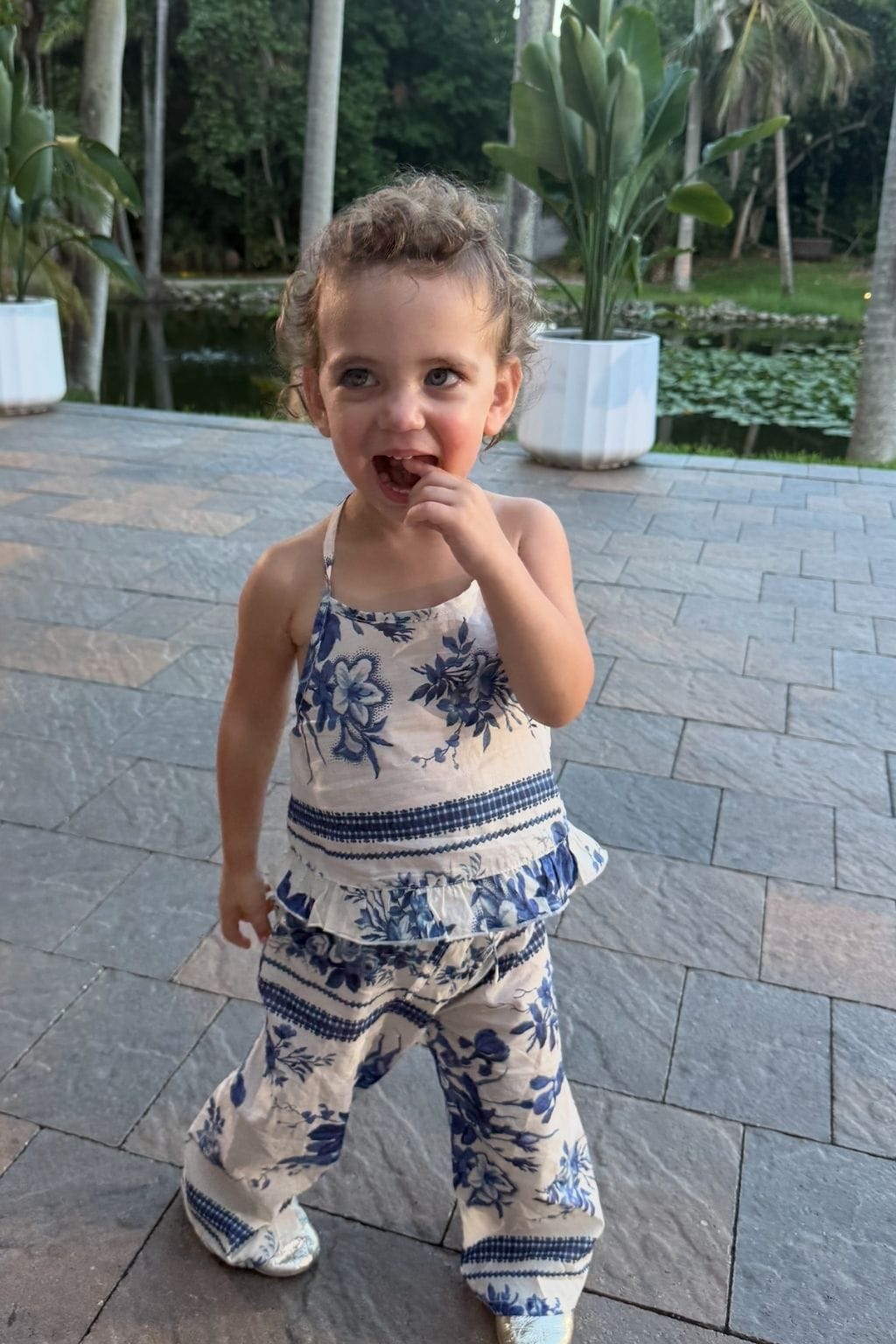 Blue Toile Stripe Mini Brooklyn Top