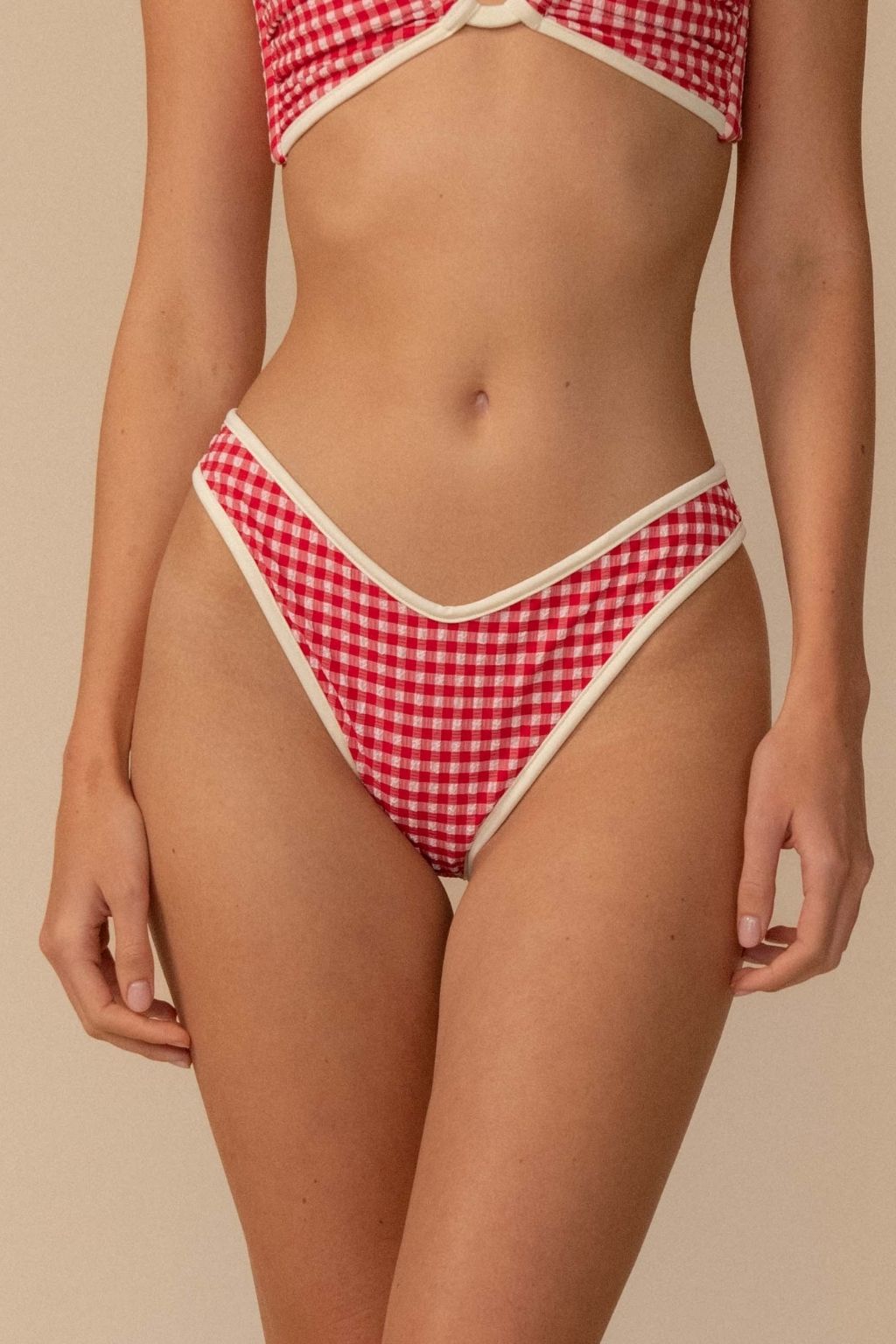 Red Micro Gingham Lulu Bikini Bottom