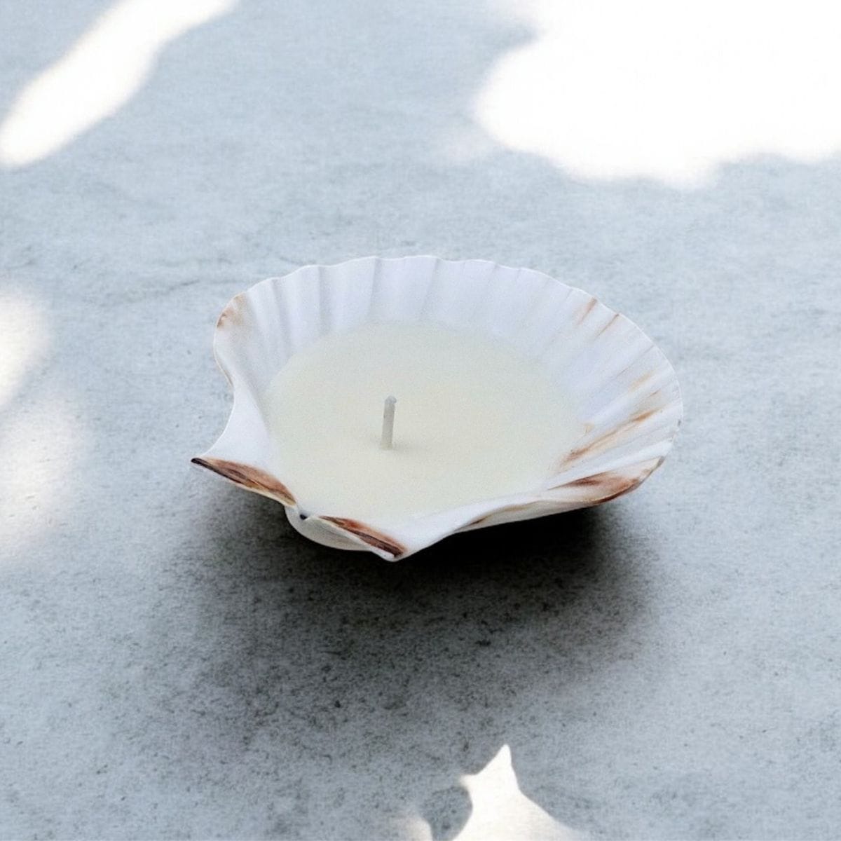 Scallop Shell Candle (Set of 4)