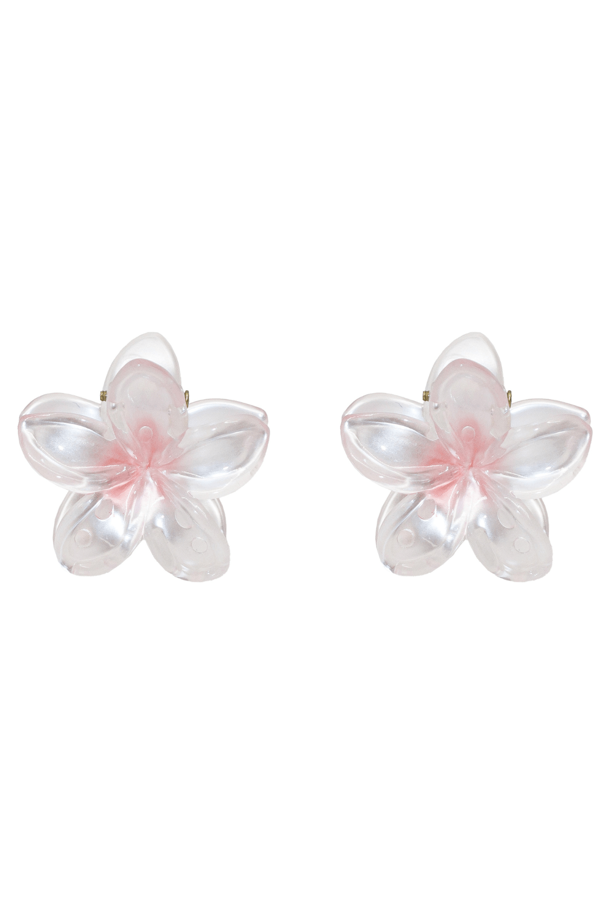 Baby Super Bloom (Rose Pearl)