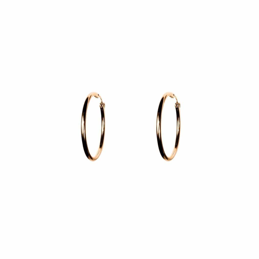 Large Gold Hoops