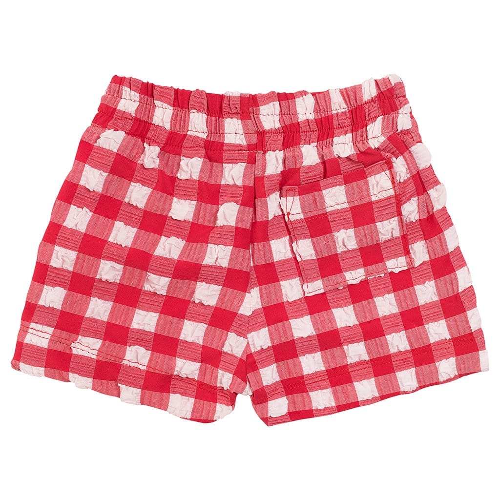 Red Gingham Mini Swim Trunk