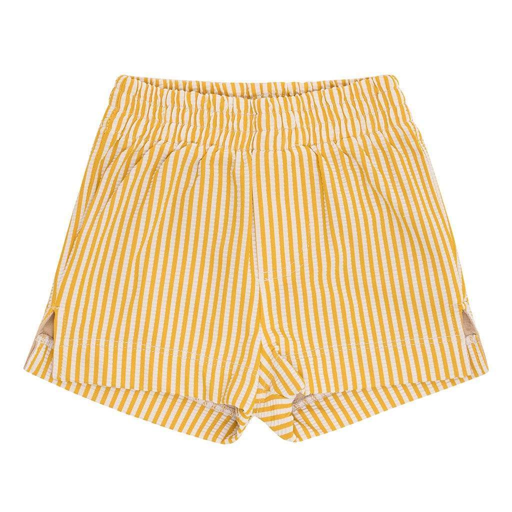 Canary Stripe Mini Swim Trunk - Main Image