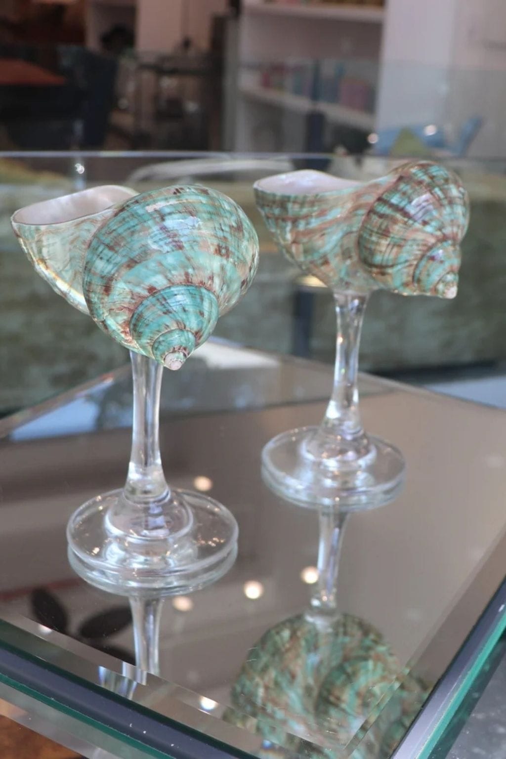 Aqua Green Seashell Glass