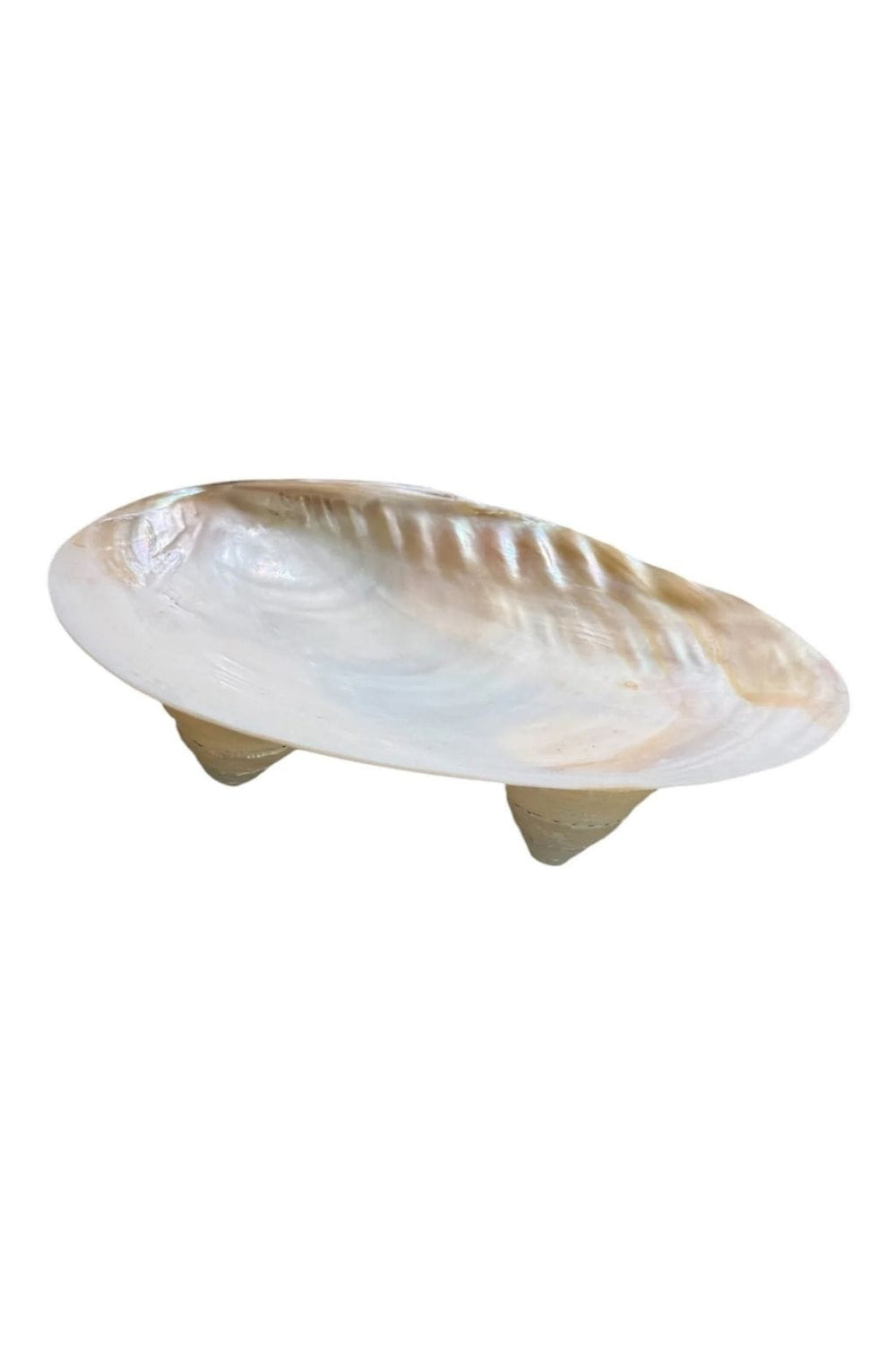 Large Mother of Pearl Dish