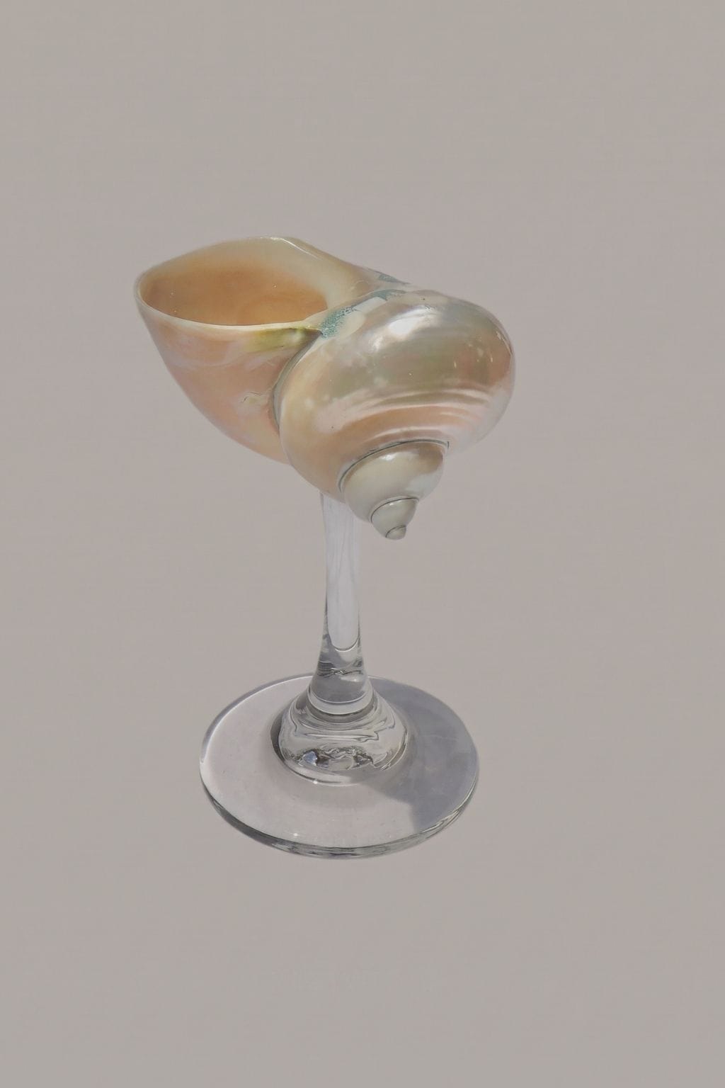 Pearl Jade Shell Glass