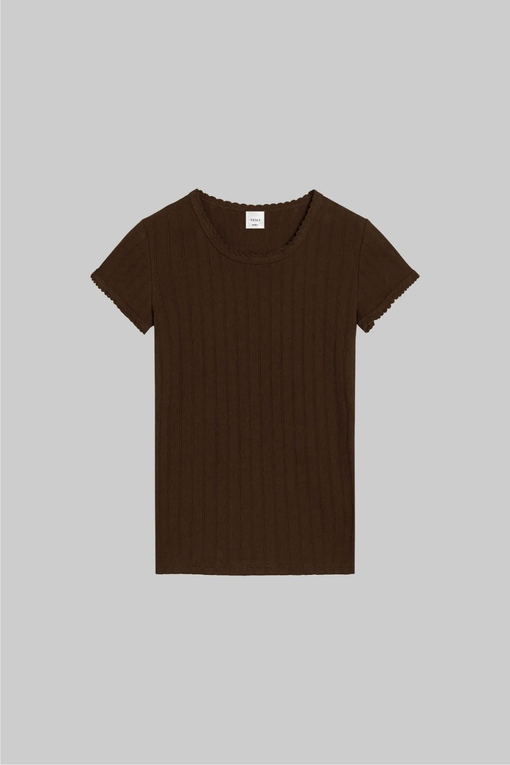 Pointelle Slim Fit Tee (Chocolate)