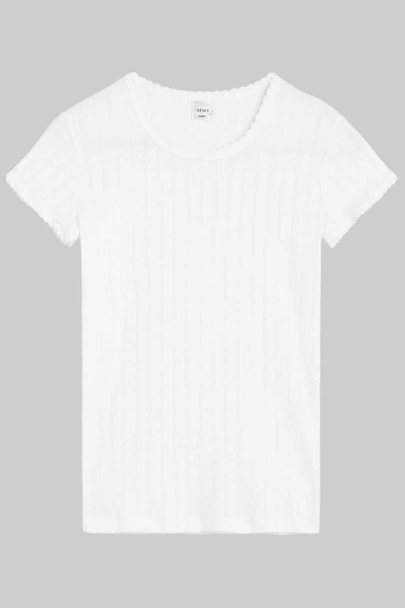 White pointelle short-sleeve t-shirt with crew neckline and slim fit silhouette.