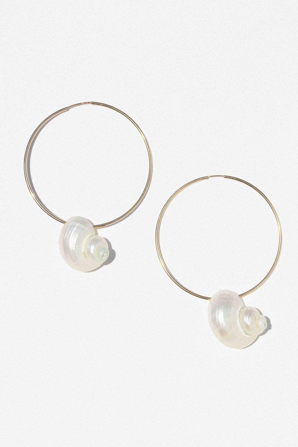 Sea Spiral Shell Hoops